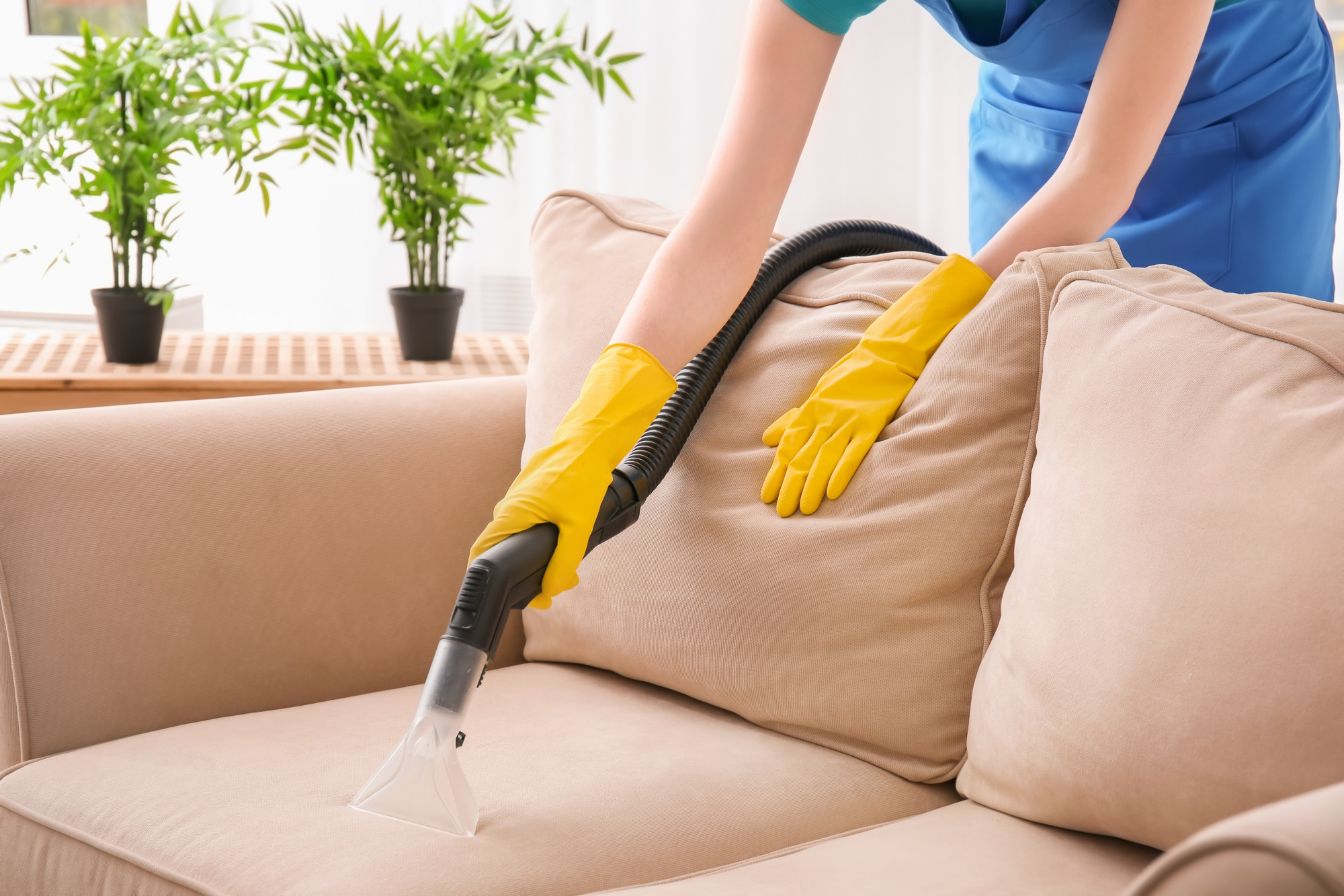 Agoura Hills Upholstery Cleaning  Furniture Upholstery Cleaning